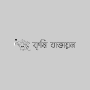 বারি তিল-২